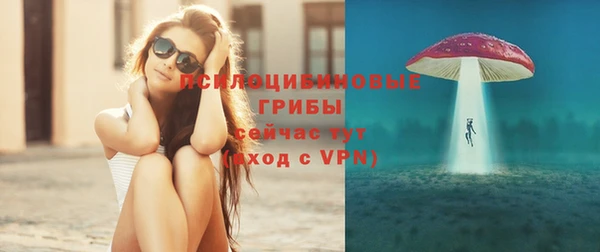 гидра Ладушкин