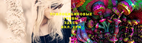 кокс Лагань