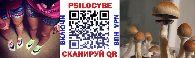 OMG   Фатеж  Галлюциногенные грибы мухоморы  что такое наркотик 